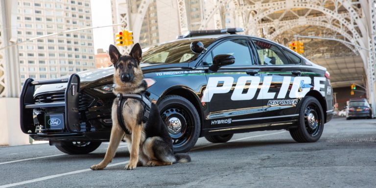 Ford, sürücüsüz polis aracı dönemini başlatacak!