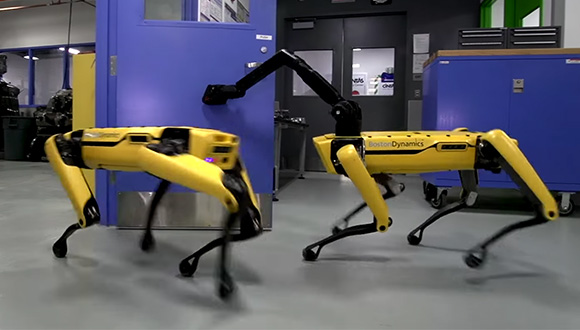 Kapıyı açan yapay zekalı sarı robot (VİDEO)