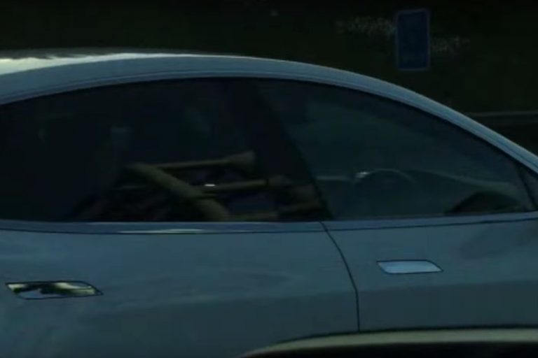 uyuyan tesla sürücüsü