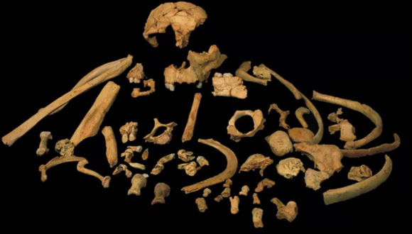 en eski insan fosili