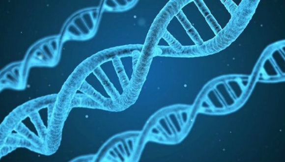 DNA’nız nasıl olsun istersiniz?