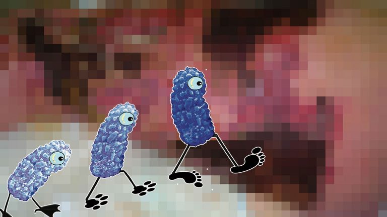 İnsanları beyinlerini yiyerek öldüren korkunç bakteri!