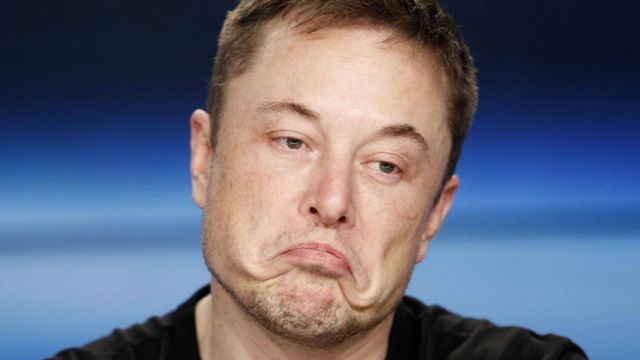 Ford CEO’su Elon Musk ile fena dalga geçti!