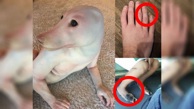 tuhaf fotoğraflar