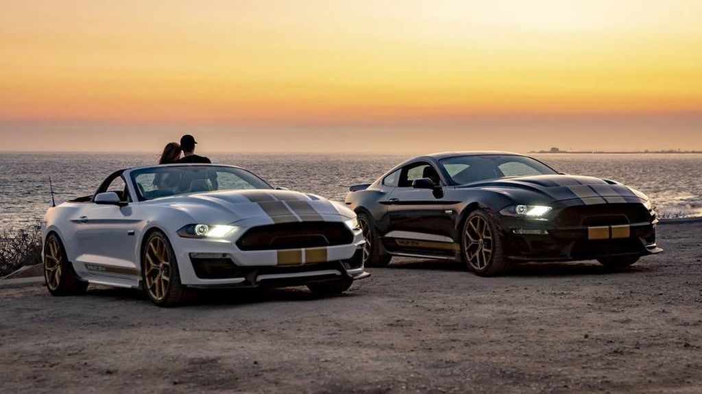 2019 Shelby GT Ford Mustang