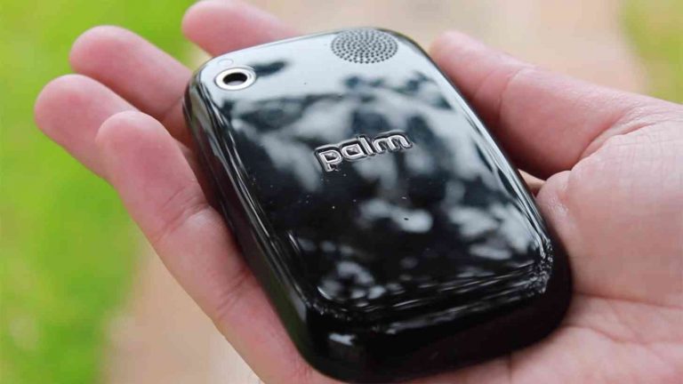 Palm Pepito