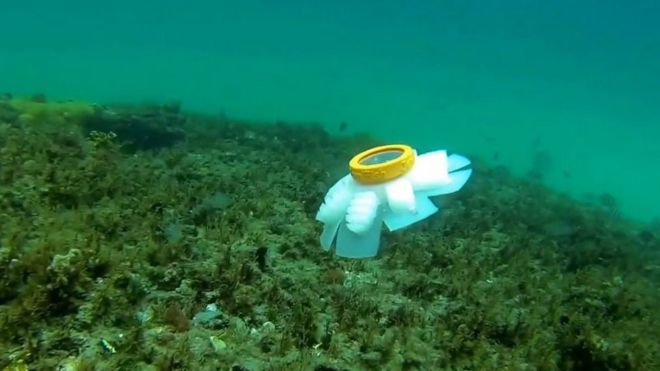Robot denizanaları