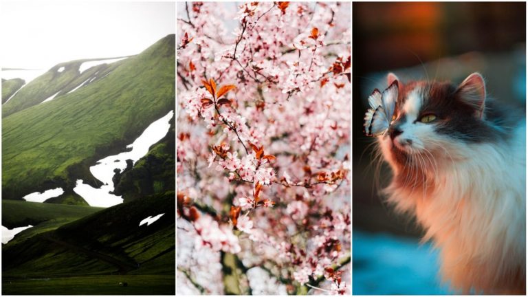 Haftanın en iyi duvar kağıtları – 23 Eylül