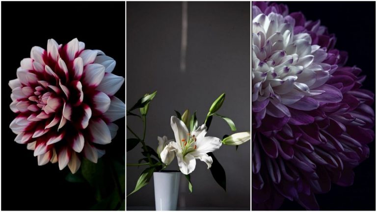 Haftanın en iyi duvar kağıtları – 9 Eylül