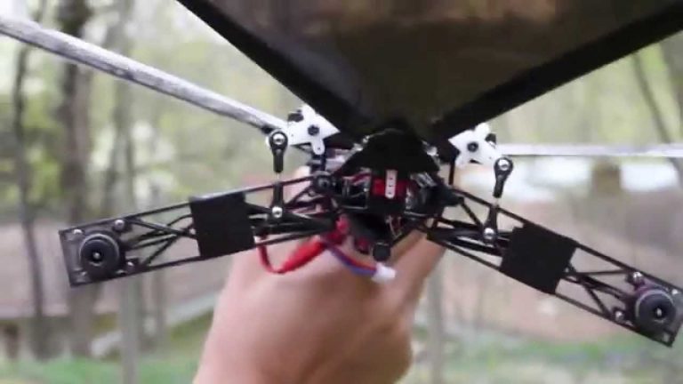 Kuş gibi uçabilen ilk drone!