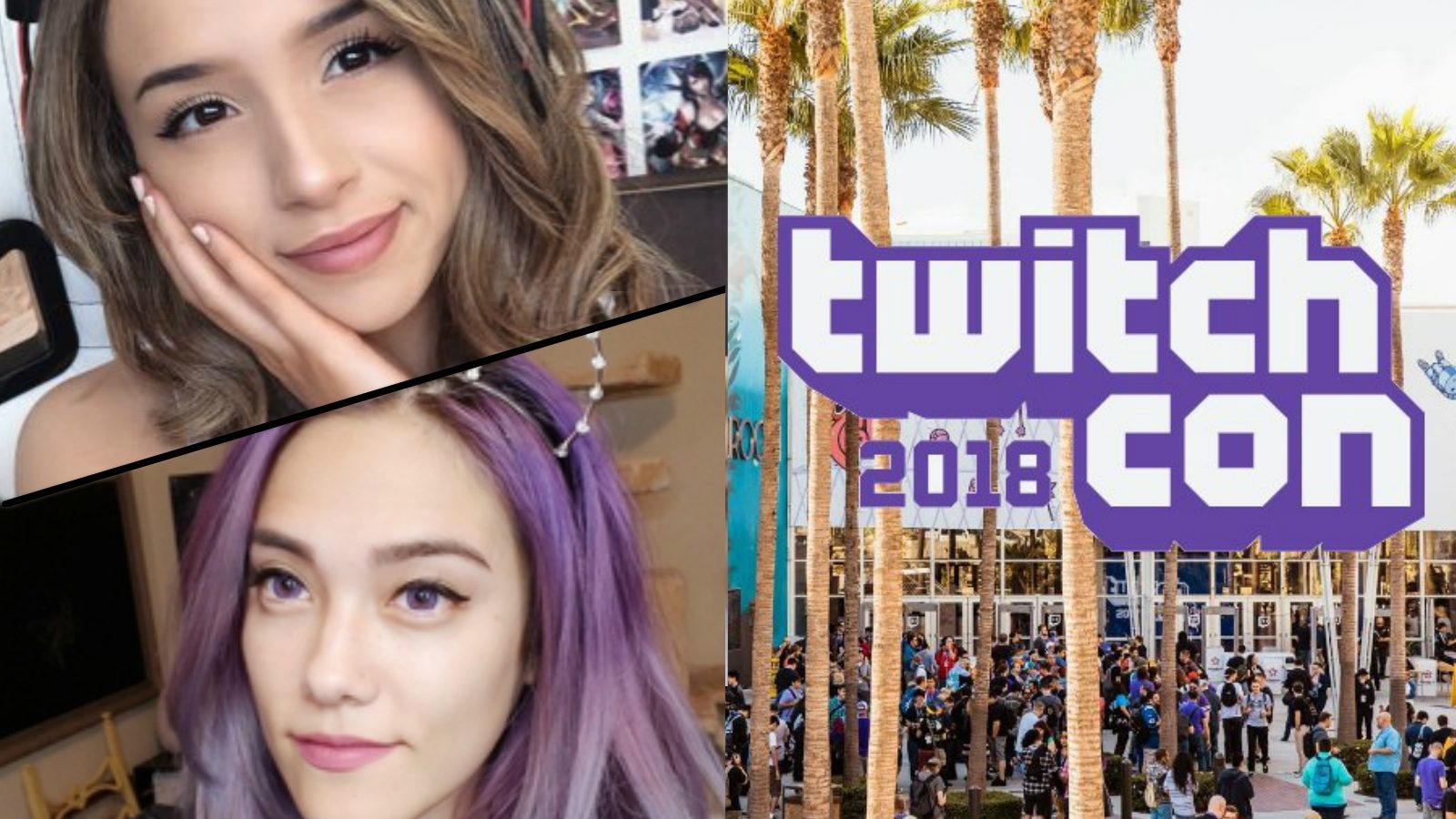 twitchcon twitch grup yayını sdn