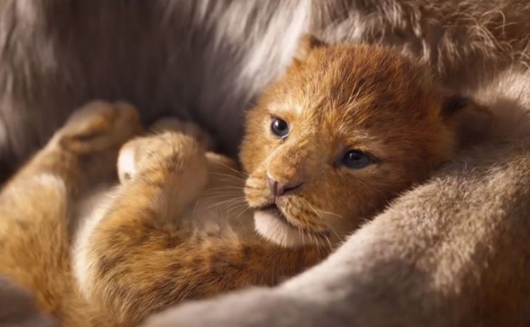 The Lion King Framan/ Aslan Kral fragmanı