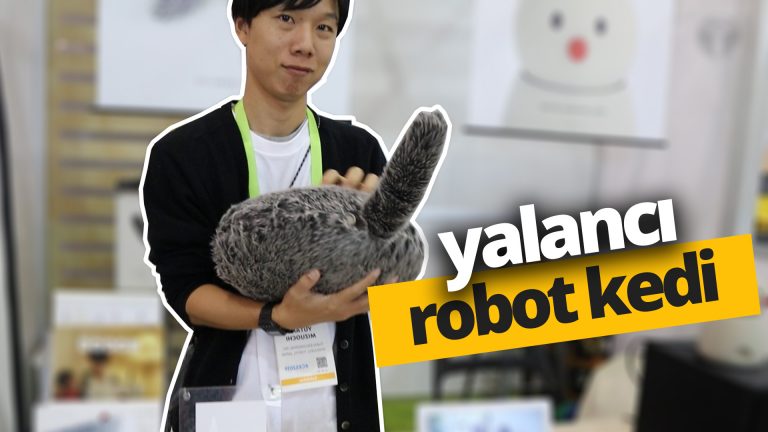 Siz sevdikçe kuyruk sallayan sahte kedi!