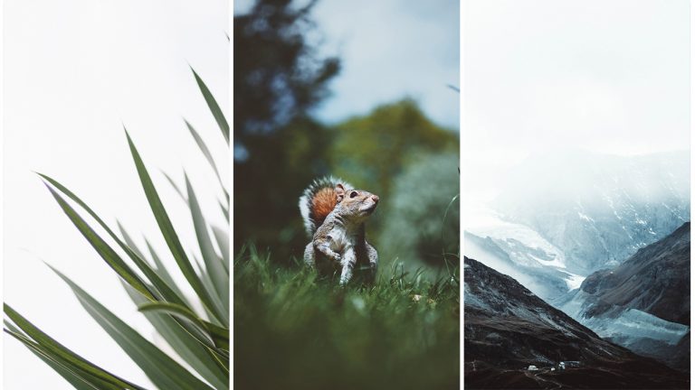 Haftanın en iyi duvar kağıtları – 5 Mayıs