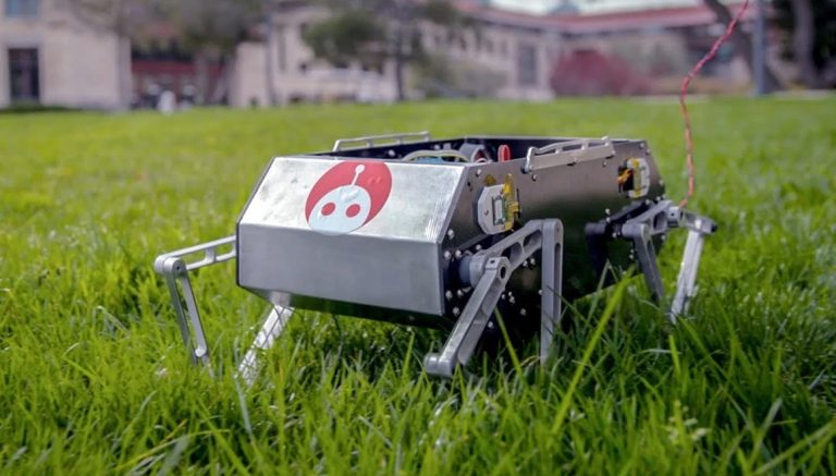 uygun fiyatlı köpek robot Doggo