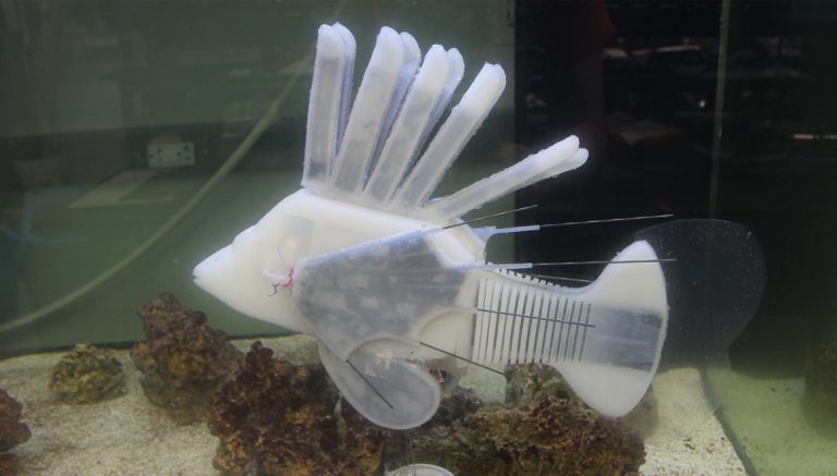 İçerisindeki özel kan sayesinde çalışan robot balık!