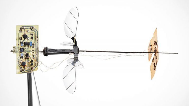 Kendi kendine uçabilen böcek robot: RoboBee X-Wing