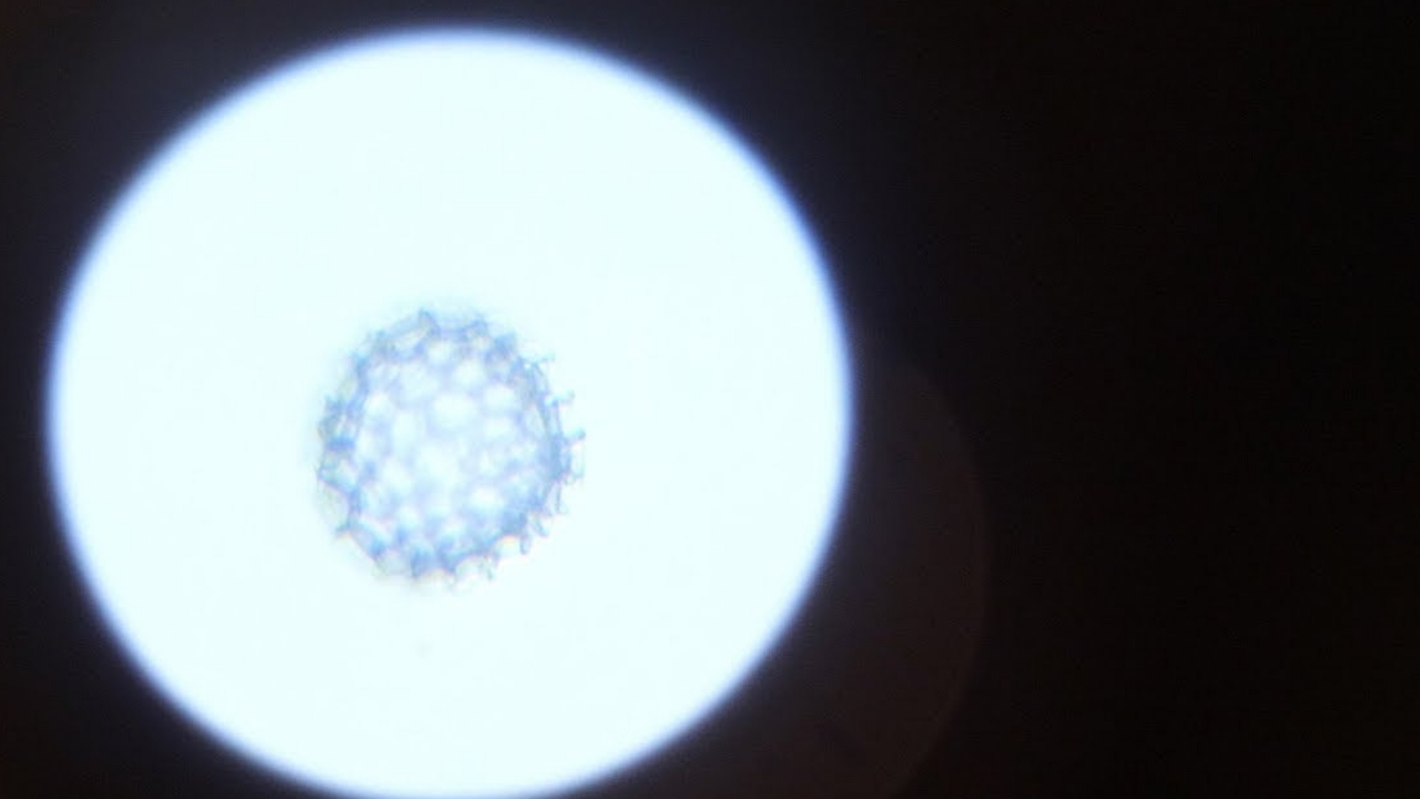 Bilim insanları tarafından 4D atom hareketi yakalandı! - ShiftDelete.Net (1)