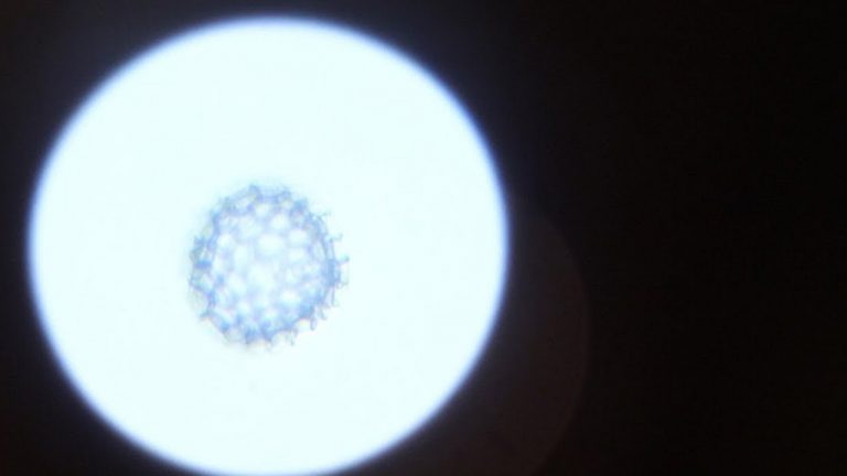 Bilim insanları 4D atom hareketi yakaladı