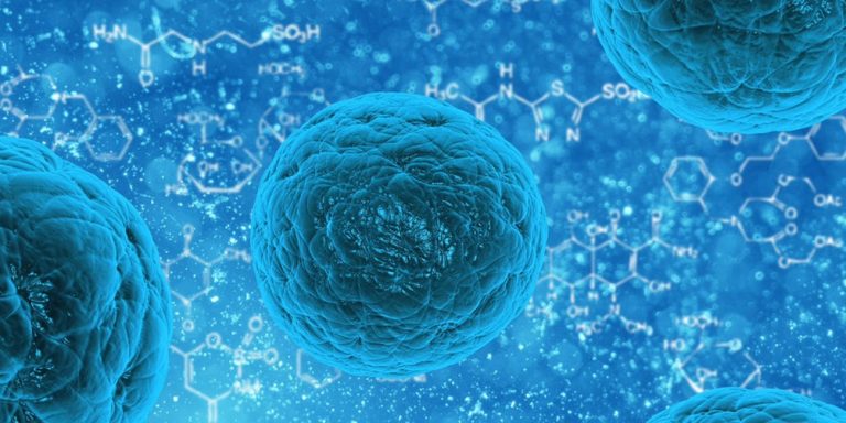 Hücrelere zarar vermeyen 3D mikroskop tanıtıldı