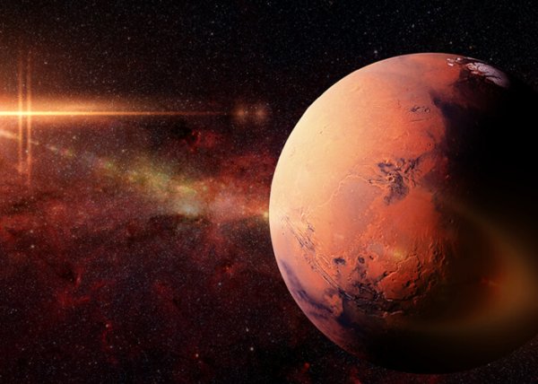 Mars'ta yaşam, mors kolonizasyonu, Spacex, nasa