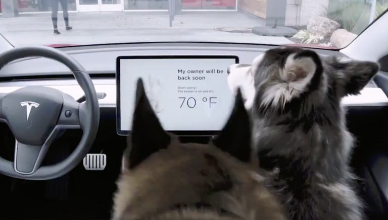 Tesla köpek modu