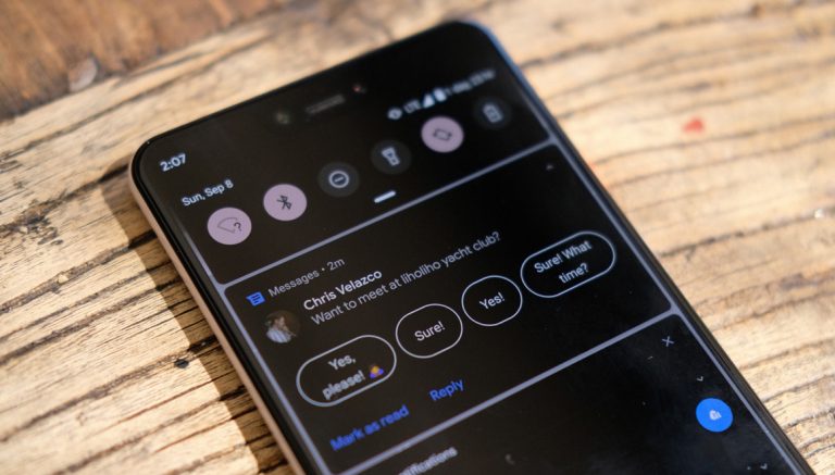 Google’dan Android 10 için sevindirici açıklama!