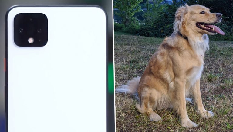 Google Pixel 4 ile çekilen fotoğraflar ortalığı karıştırdı