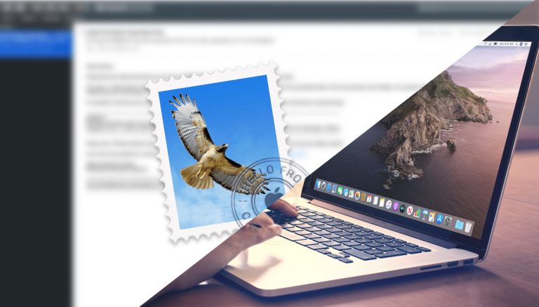 macOS Catalina veri kaybına neden olabiliyor