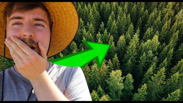 YouTuber’lar 20 milyon dolarlık bağış için birleşti