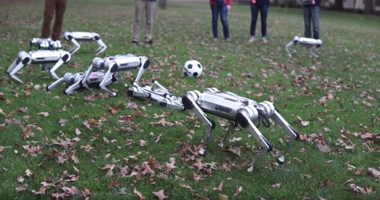 Robotlar futbol oynadı, herkes şaşırdı!