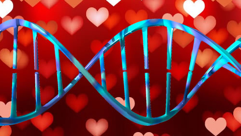 DNA’lara göre eşleştiren tanışma uygulaması geliyor