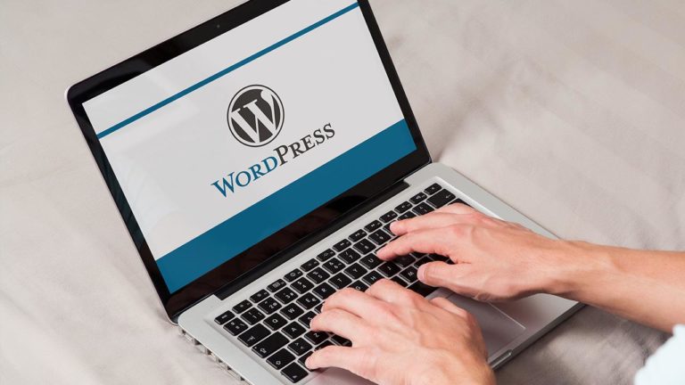 WordPress dünyası WPFest’te buluşacak