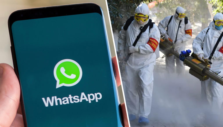 Corona virüsü için WhatsApp hattı! İşte numara
