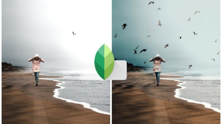 Snapseed yaşıyor: 2018’den sonra ilk güncelleme