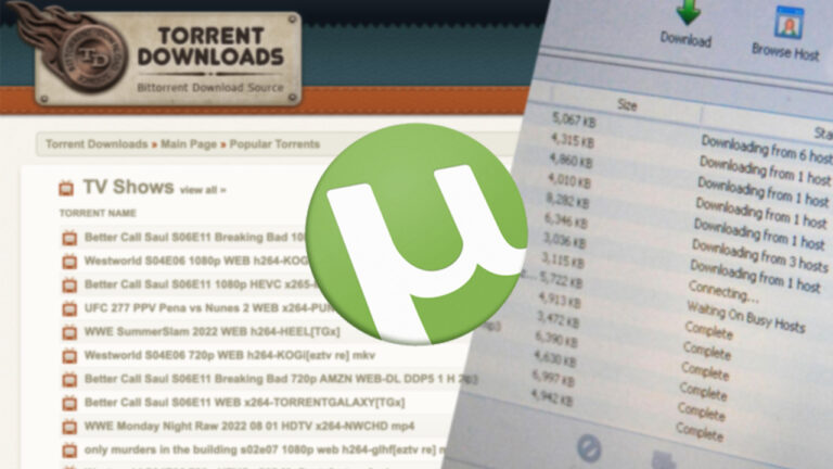 Dünyanın en büyük torrent sitesi maddi buhrana girdi!