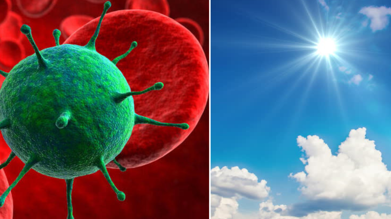 corona virüse güneşin etkisi