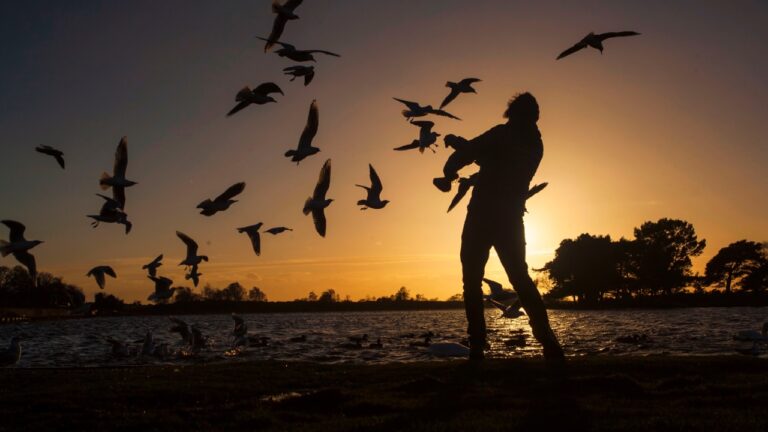 Güneşe karşı fotoğraf çekilir mi? İşte püf noktaları