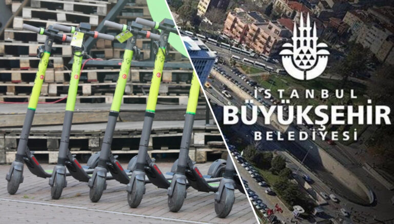 İBB’den Martı düzenlemesi! İşte yeni kurallar
