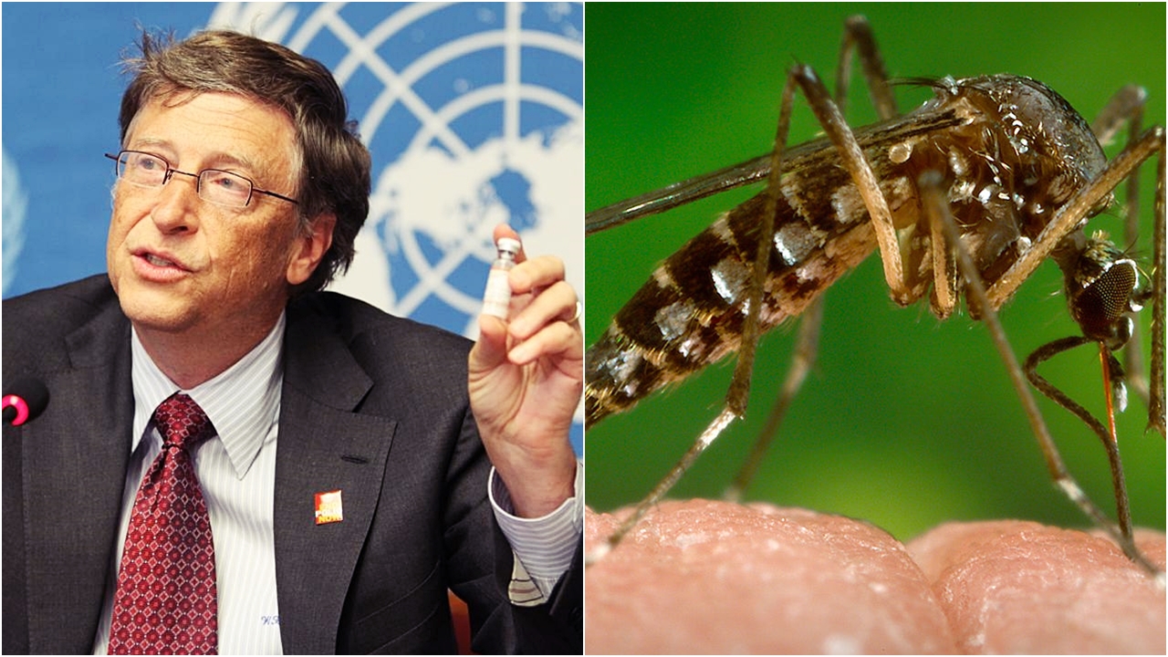 Bill Gates’ten dikkat çeken sivrisinek ve sıtma uyarısı!