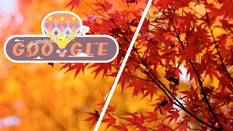 2020 Sonbahar Google Doodle oldu!