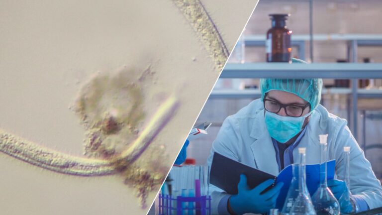 Tek hücreli organizma bilim insanlarını şaşırttı