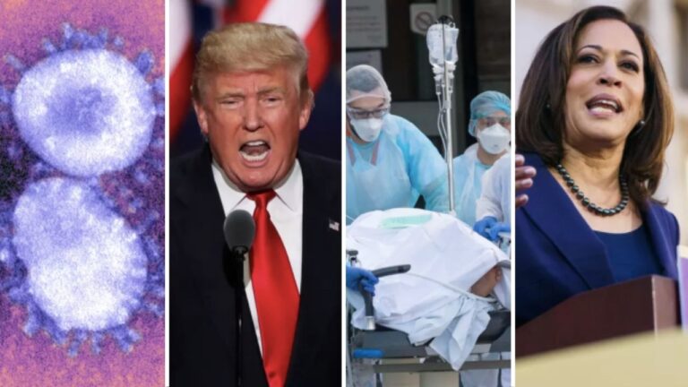 Wikipedia-da 2020 yilinda en cok okunun basliklar