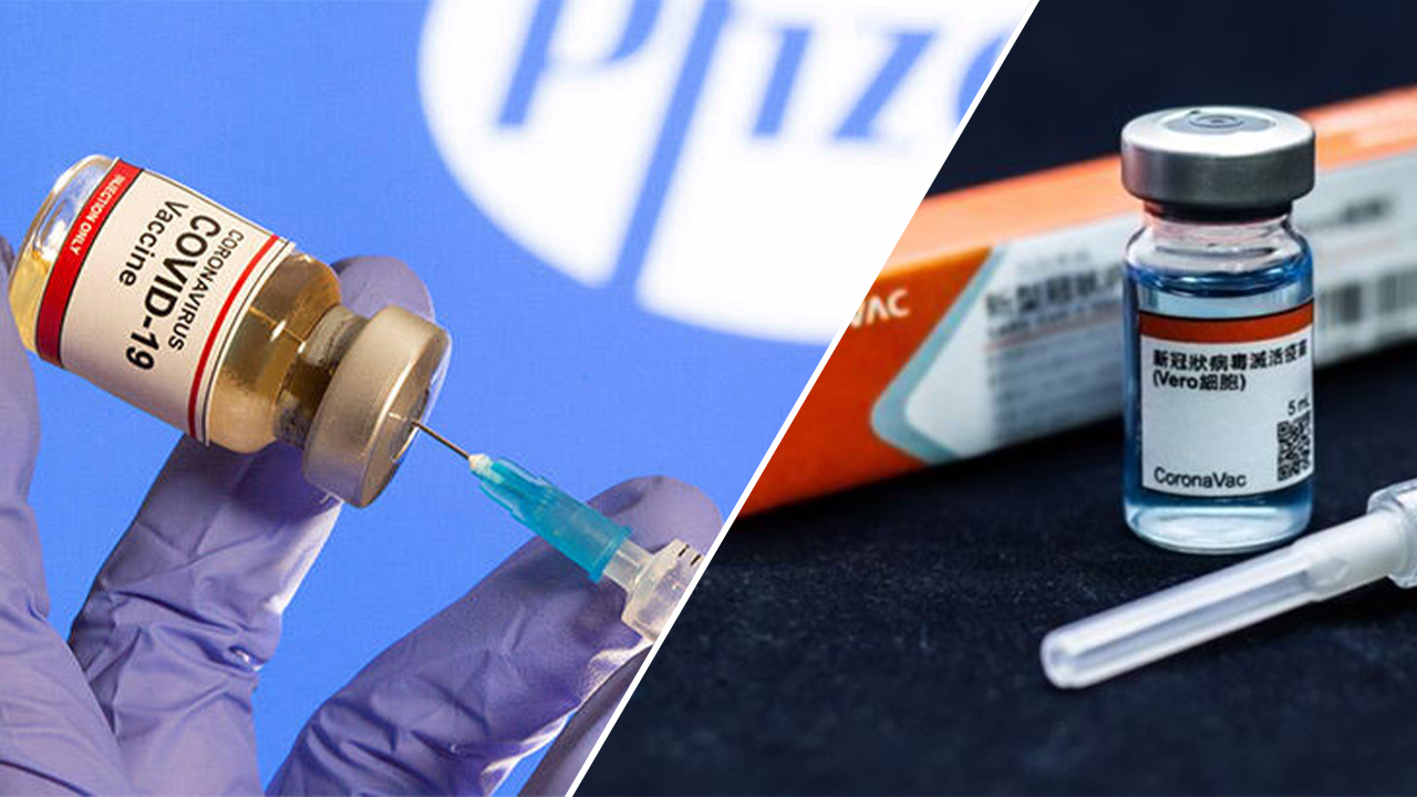 Hangi COVID-19 aşısı iyi? CoronaVac vs Pfizer-BioNTech