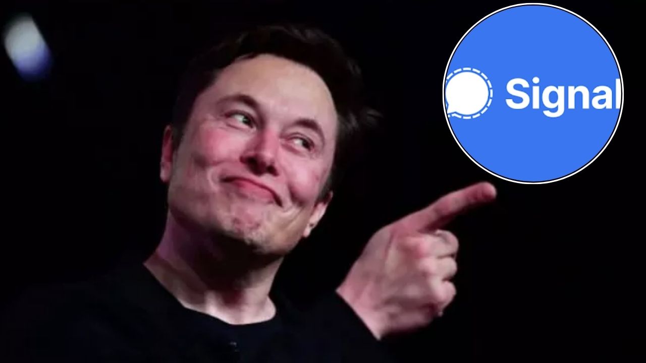 Elon Musk Signal