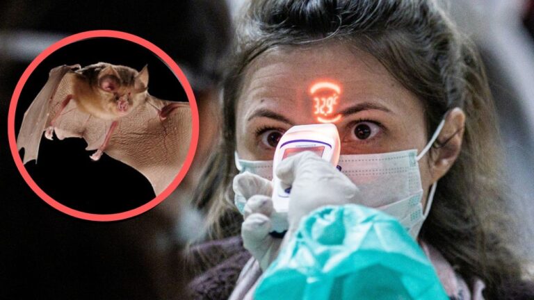 Çin’den ‘koronavirüs salgını böyle başladı’ itirafı