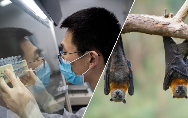 Çin, korona için ABD askeri üssünü işaret etti