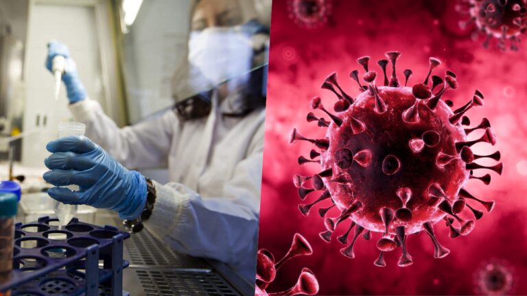 Türk araştırmacılardan çok önemli COVID-19 keşfi