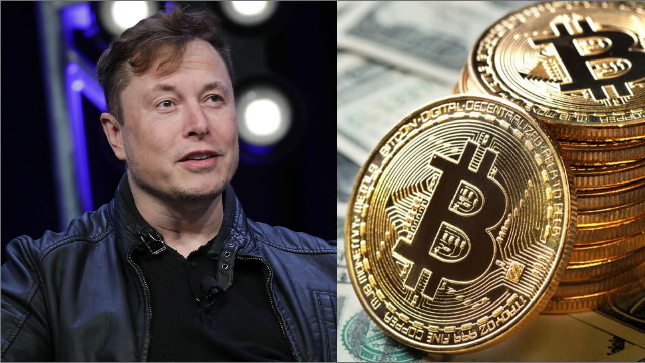 Bitcoin yatırımcıları Elon Musk adıyla dolandırıldı