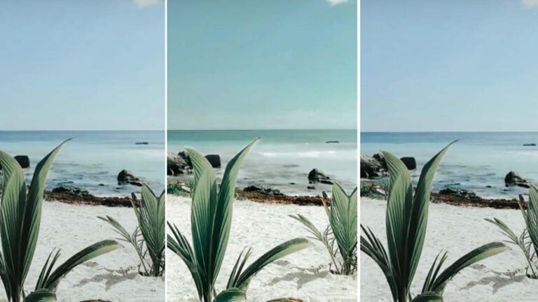 En popüler Instagram filtreleri: Hesabınıza renk katın